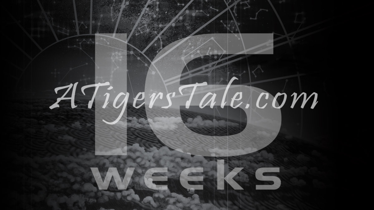 16 weeks remaining for the Launch of A Tiger's Tale Campaign